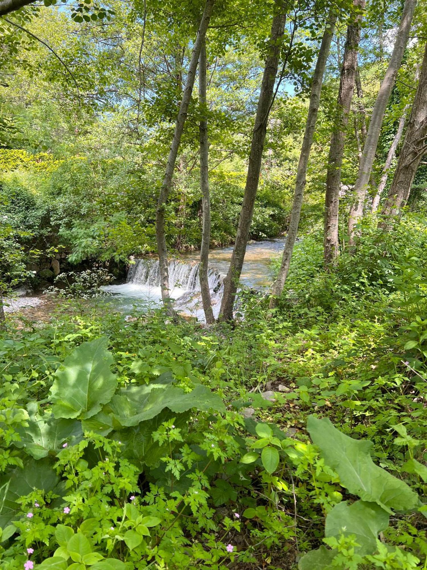 Sumène Tente Lodge En Pleine Nature מראה חיצוני תמונה